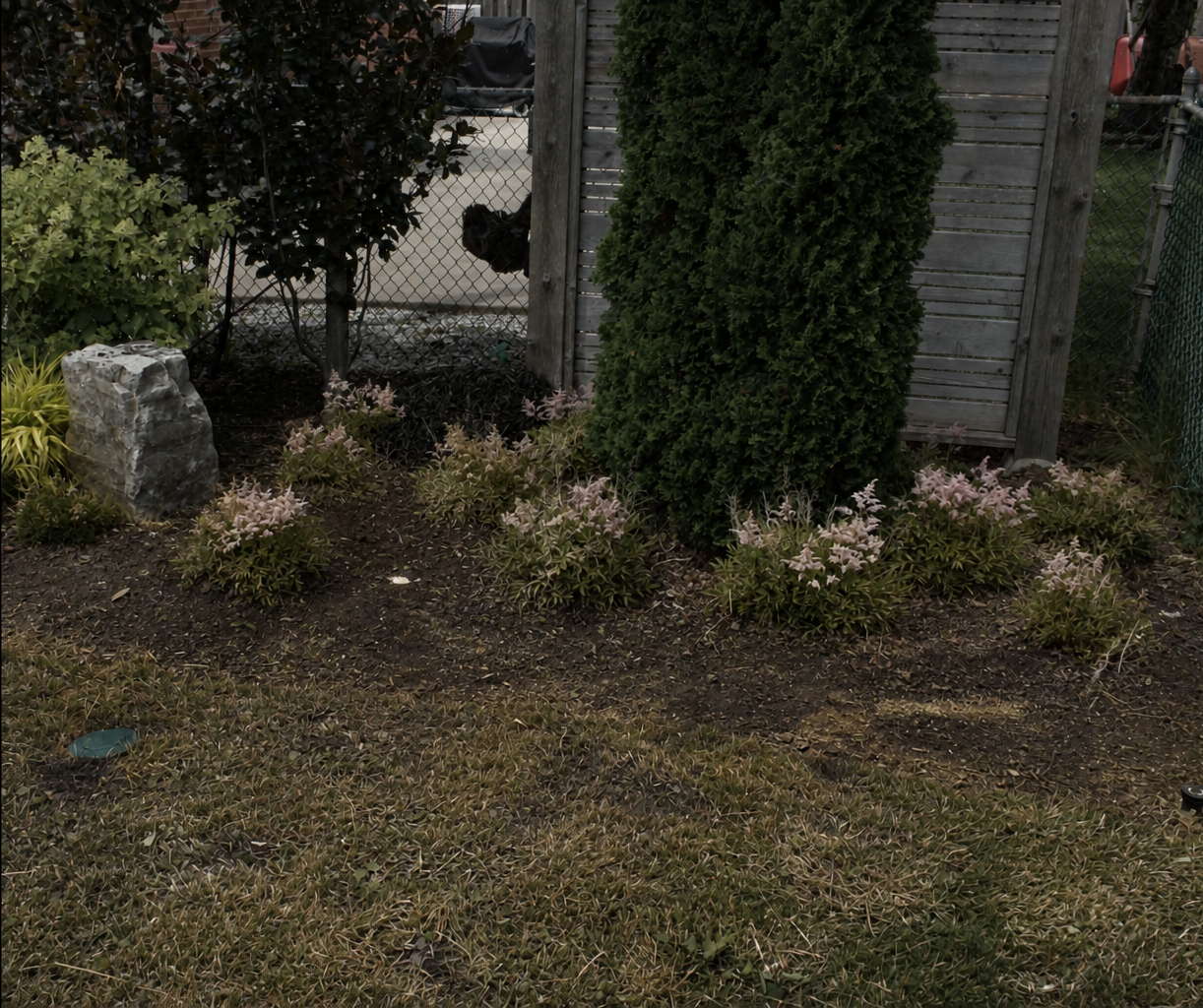 Before